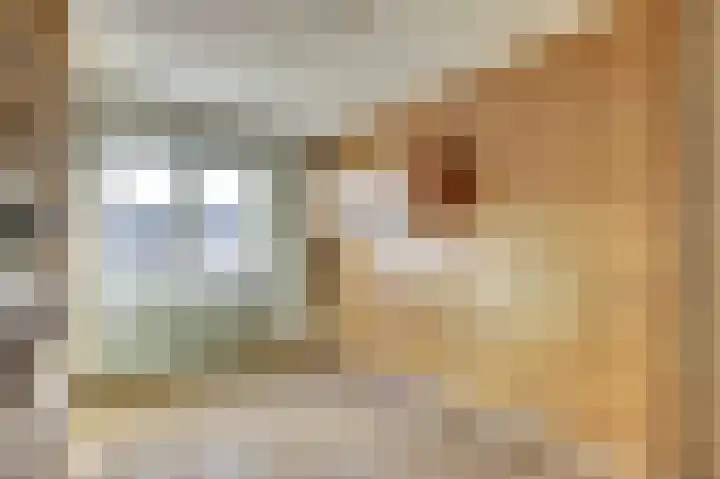 Schansweg 53 Geertruidenberg thumbnail 15