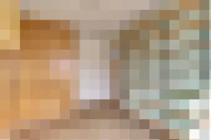 Schansweg 53 Geertruidenberg thumbnail 16