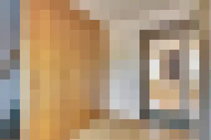 Schansweg 53 Geertruidenberg thumbnail 20
