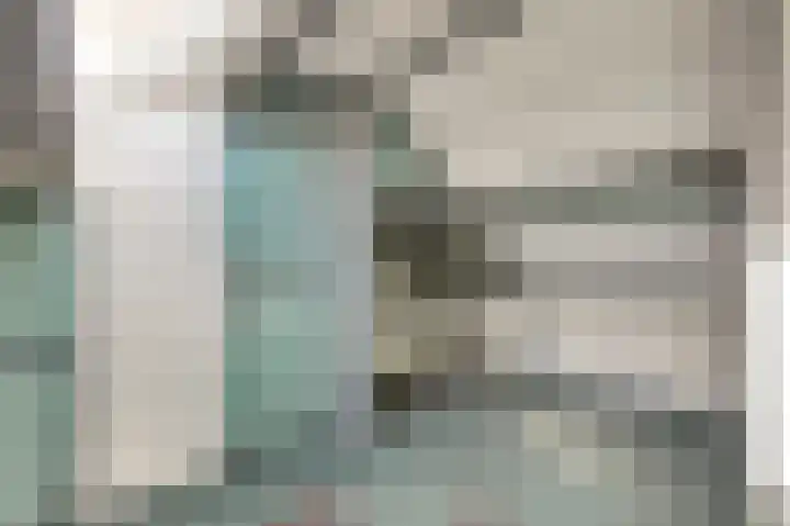 Schansweg 53 Geertruidenberg thumbnail 24