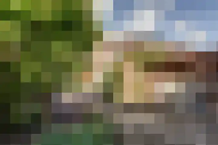 Schansweg 53 Geertruidenberg thumbnail 29
