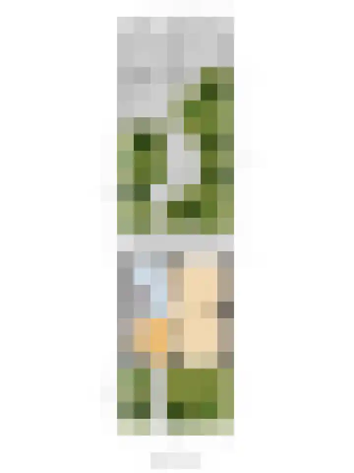 Schansweg 53 Geertruidenberg thumbnail 41