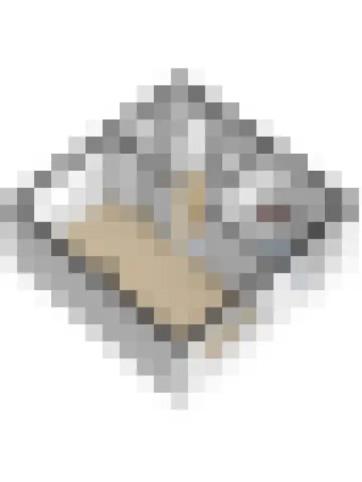 Schansweg 53 Geertruidenberg thumbnail 43