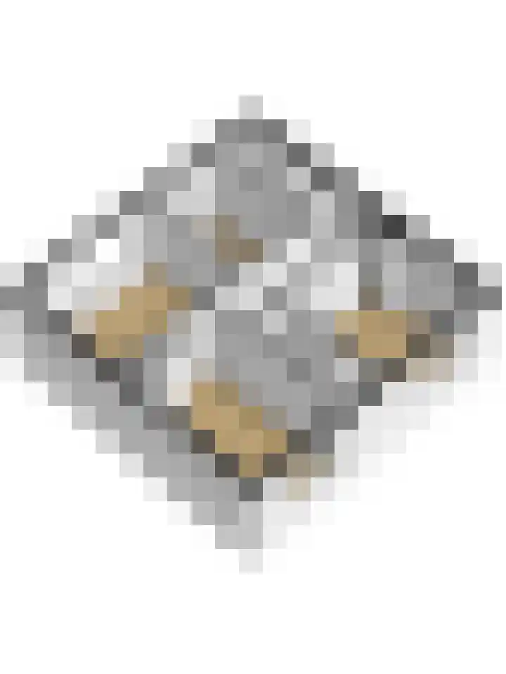 Schansweg 53 Geertruidenberg thumbnail 44