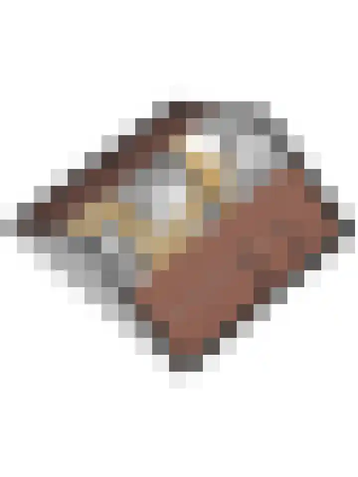 Schansweg 53 Geertruidenberg thumbnail 45