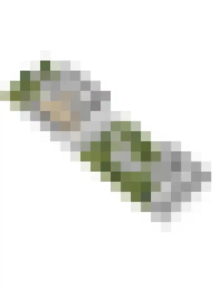 Schansweg 53 Geertruidenberg thumbnail 46