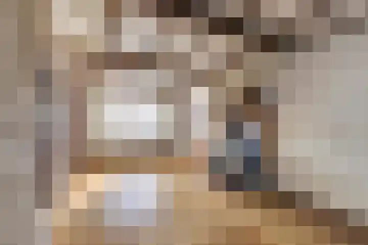 Schansweg 53 Geertruidenberg thumbnail 8