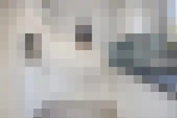 Schansweg 57 Geertruidenberg thumbnail 16