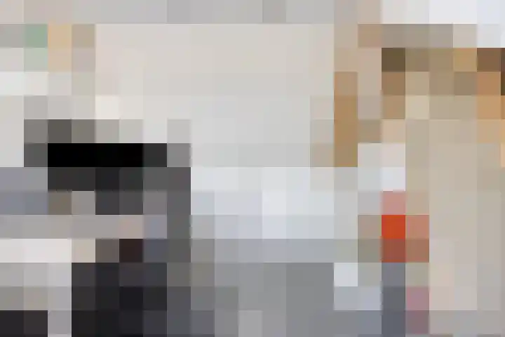 Schansweg 57 Geertruidenberg thumbnail 37