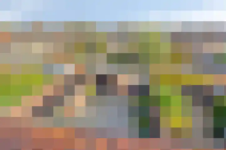 Schansweg 57 Geertruidenberg thumbnail 39