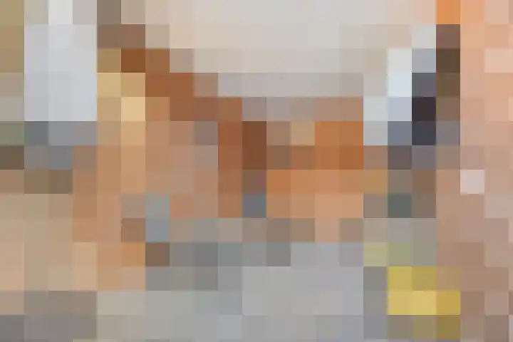 Schansweg 57 Geertruidenberg thumbnail 41