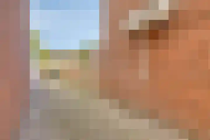 Schansweg 57 Geertruidenberg thumbnail 45