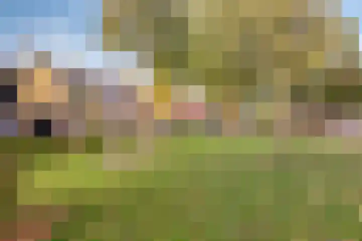 Schansweg 57 Geertruidenberg thumbnail 47