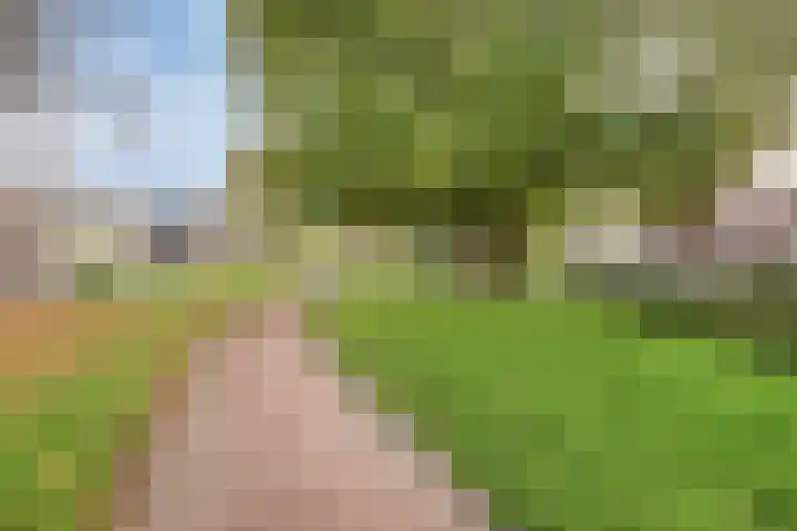 Schansweg 57 Geertruidenberg thumbnail 48