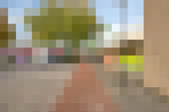 Schansweg 57 Geertruidenberg thumbnail 49