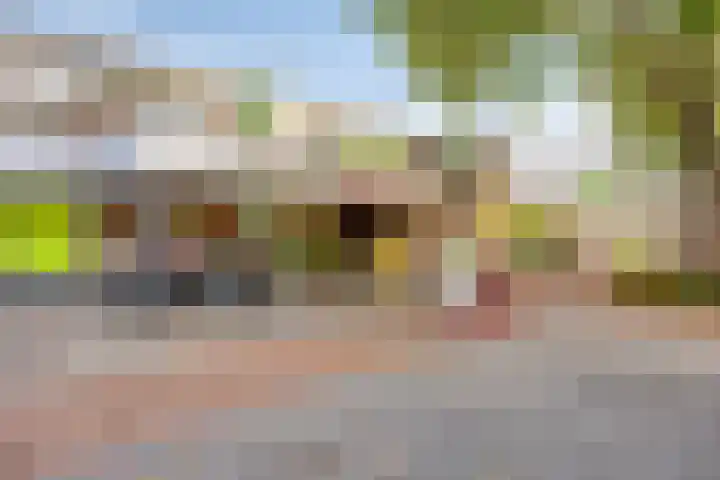 Schansweg 57 Geertruidenberg thumbnail 50