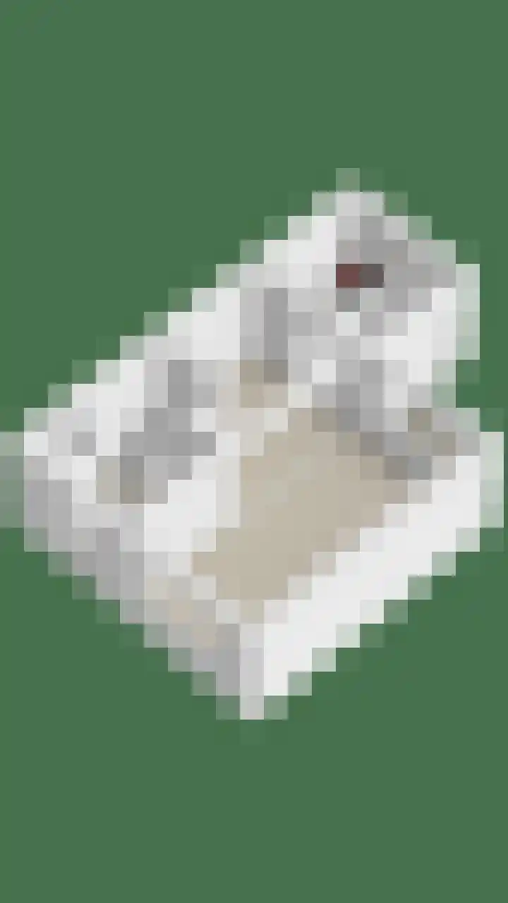 Schansweg 57 Geertruidenberg thumbnail 56