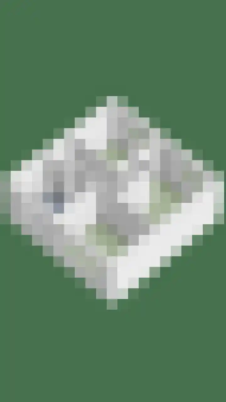 Schansweg 57 Geertruidenberg thumbnail 57