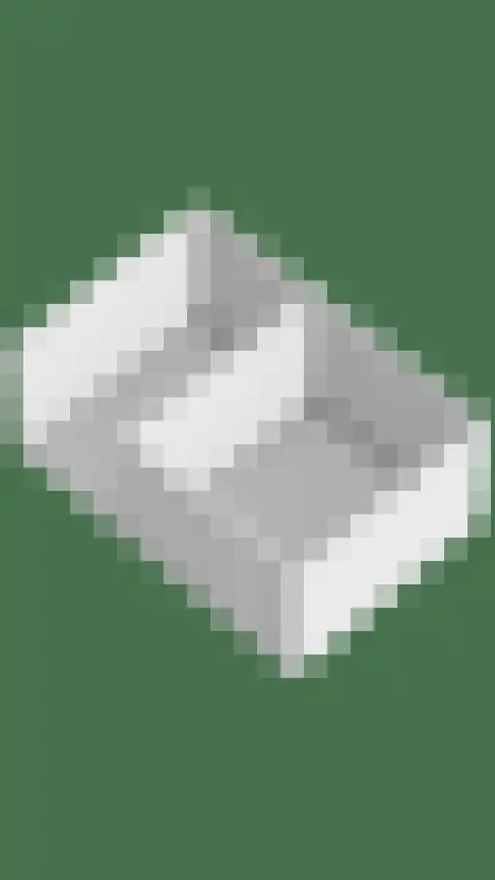Schansweg 57 Geertruidenberg thumbnail 59