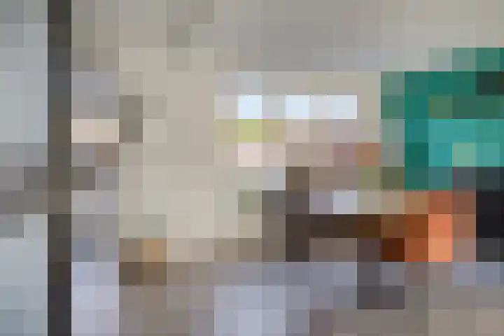 Schansweg 57 Geertruidenberg thumbnail 8