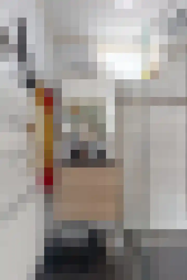 Schansweg 59 Klundert thumbnail 34