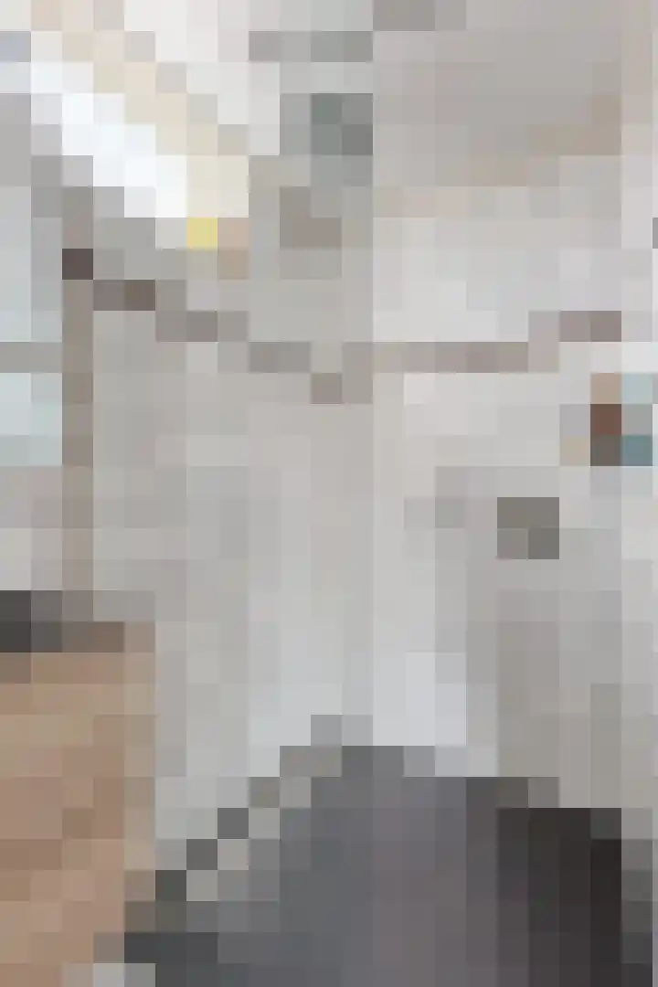 Schansweg 59 Klundert thumbnail 35