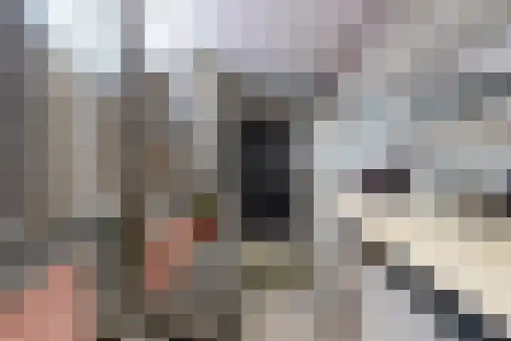 Schansweg 59 Klundert thumbnail 39