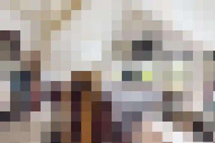 Schansweg 59 Klundert thumbnail 45