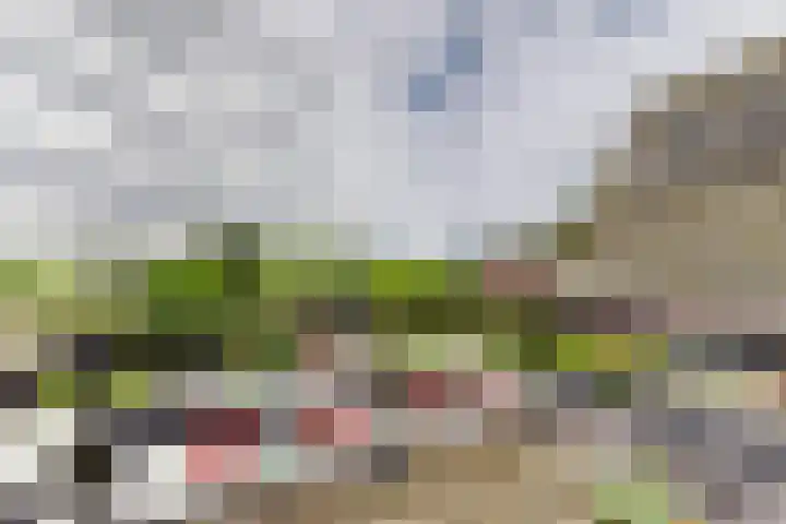Schansweg 59 Klundert thumbnail 48