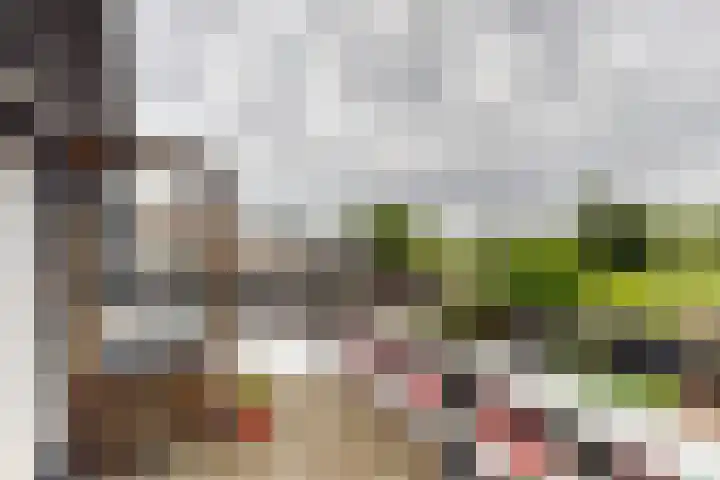 Schansweg 59 Klundert thumbnail 49