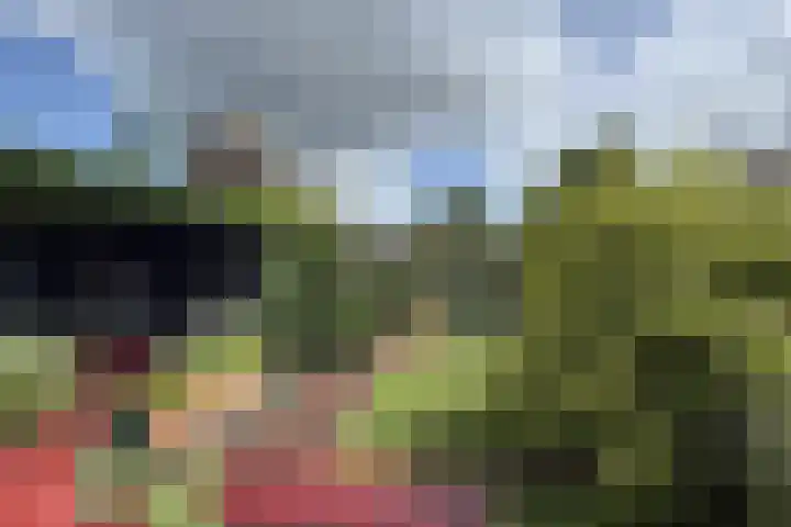 Schansweg 59 Klundert thumbnail 5