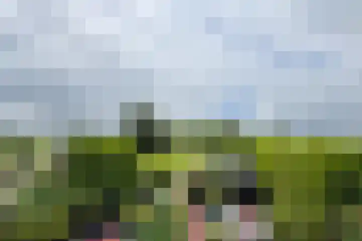 Schansweg 59 Klundert thumbnail 50