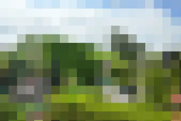 Schansweg 59 Klundert thumbnail 52