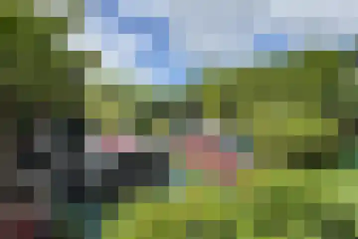 Schansweg 59 Klundert thumbnail 53