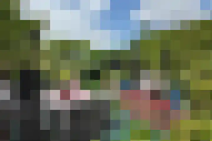 Schansweg 59 Klundert thumbnail 54