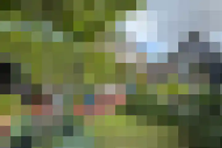Schansweg 59 Klundert thumbnail 55