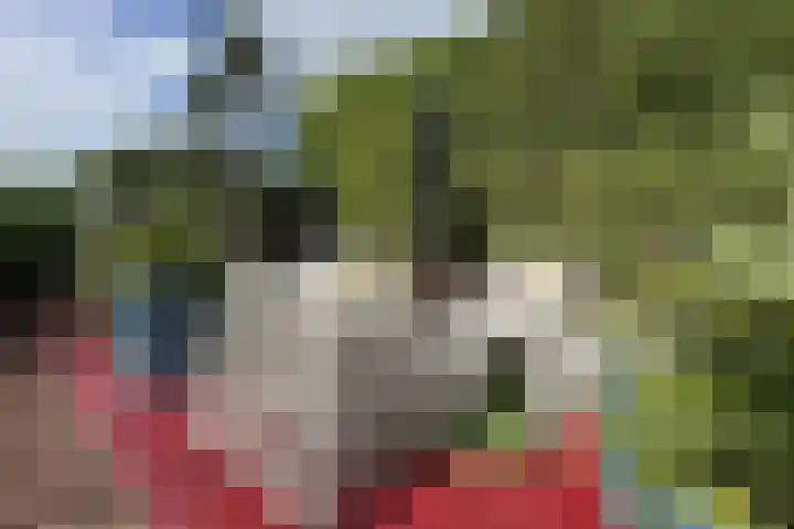 Schansweg 59 Klundert thumbnail 56
