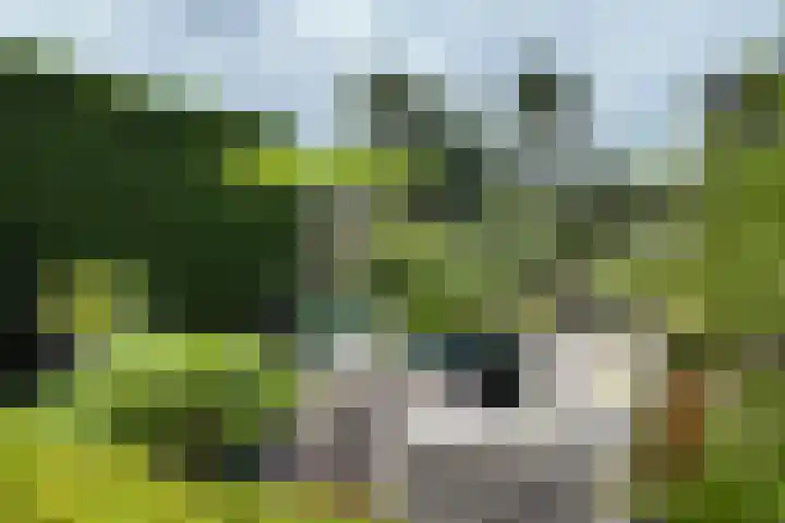 Schansweg 59 Klundert thumbnail 57