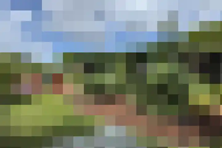 Schansweg 59 Klundert thumbnail 58