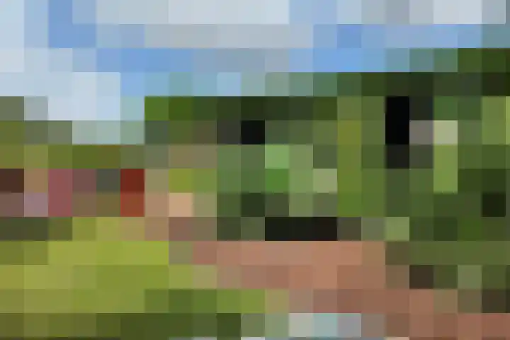 Schansweg 59 Klundert thumbnail 59