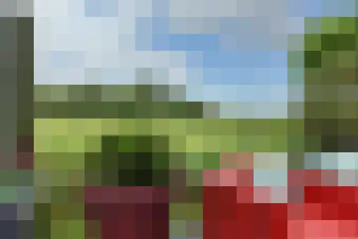 Schansweg 59 Klundert thumbnail 6