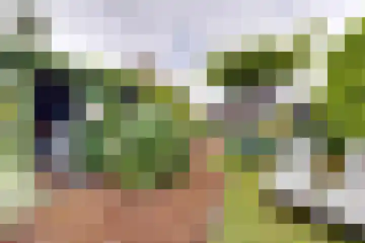 Schansweg 59 Klundert thumbnail 60