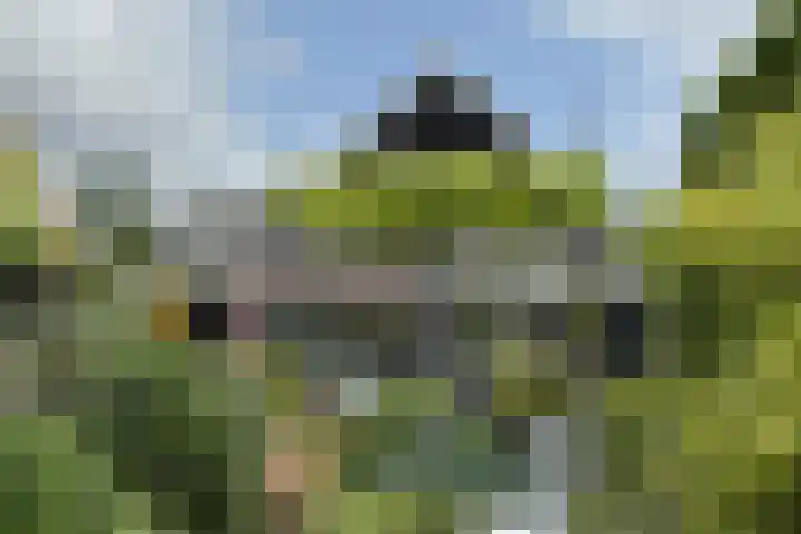 Schansweg 59 Klundert thumbnail 61