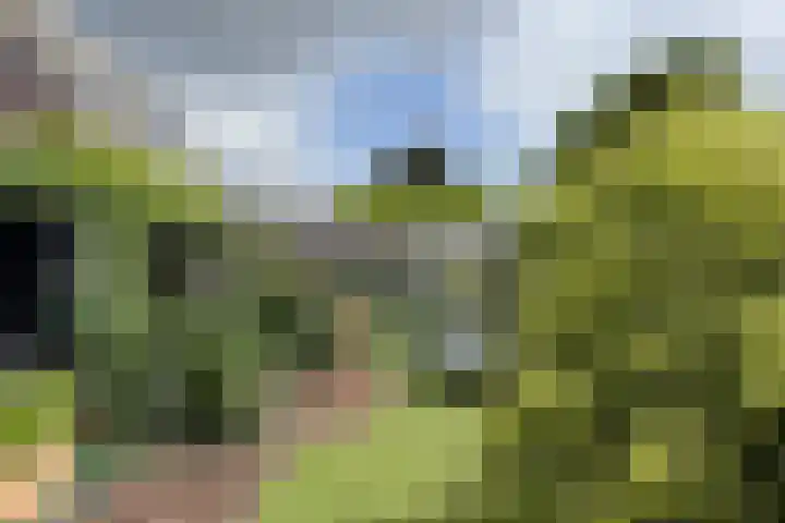 Schansweg 59 Klundert thumbnail 62
