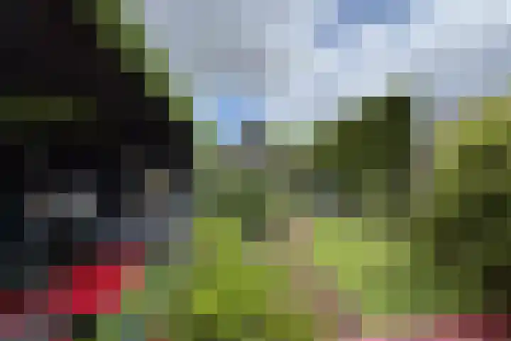 Schansweg 59 Klundert thumbnail 63
