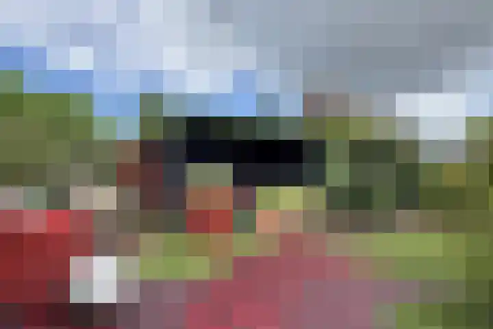 Schansweg 59 Klundert thumbnail 65