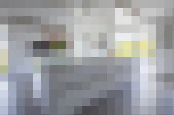 Schansweg 7 Den Burg thumbnail 10