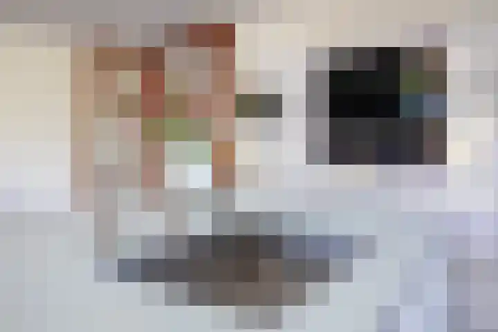 Schansweg 7 Den Burg thumbnail 11