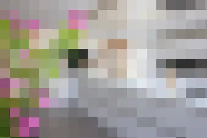 Schansweg 7 Den Burg thumbnail 12