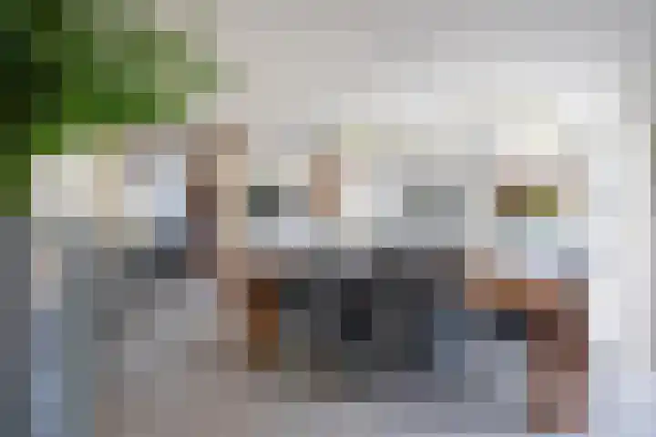Schansweg 7 Den Burg thumbnail 13